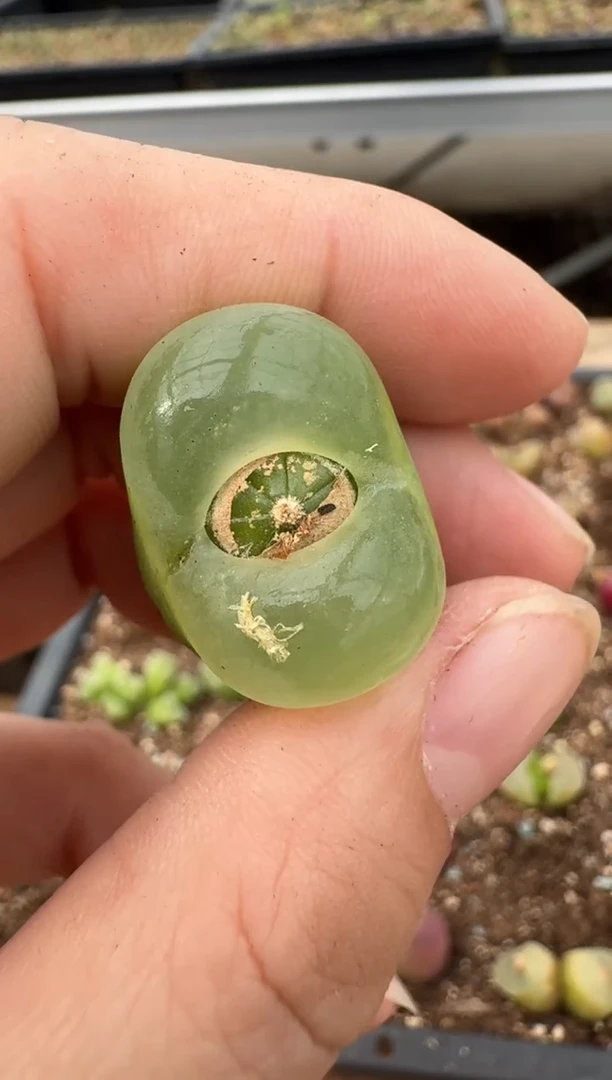 【闪购商品】6--21