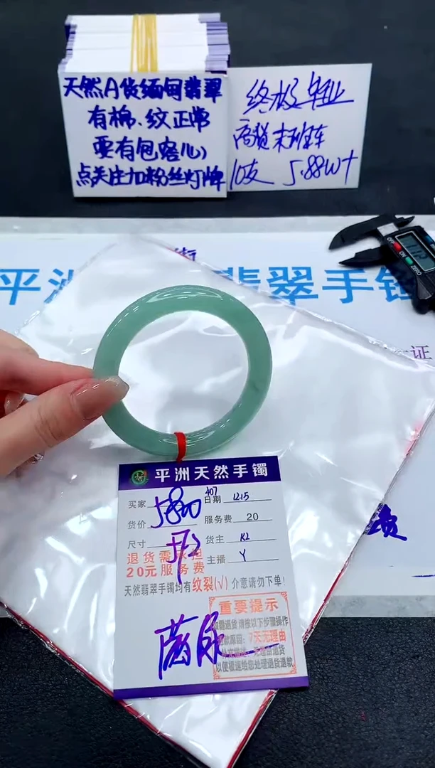 未镶嵌手镯翡翠111111111