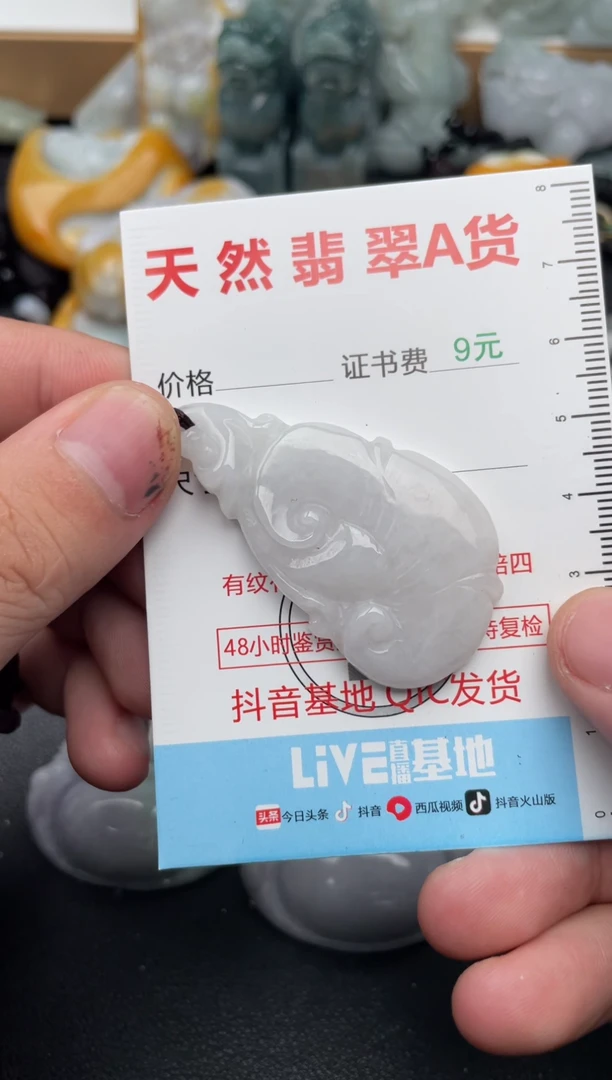 吊坠(不含链)未镶嵌翡翠1