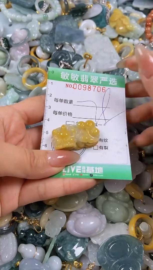 【闪购商品】翡翠颈饰未镶嵌闪购0098706