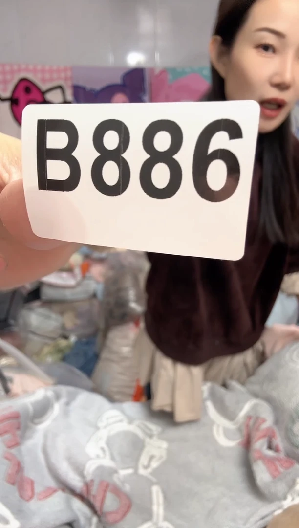 牛奶绒歖*886枕套四只