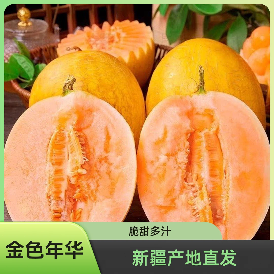 新疆金色年华哈密瓜-产地直发