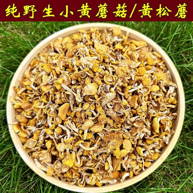 蓟县野生黄油蘑，自然生长，人工采摘，自然晾晒，天然营养健康