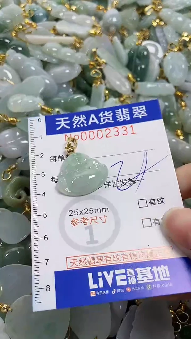 颈饰未镶嵌翡翠纯天然货a翡翠