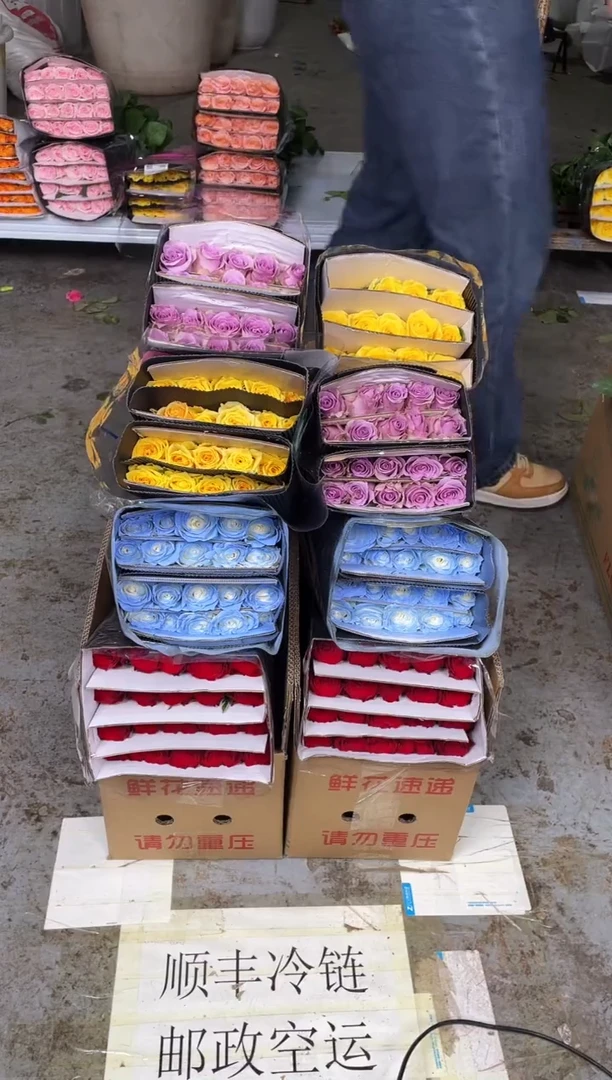 高原红20枝+碎冰蓝20枝+紫霞20枝+高原红20枝