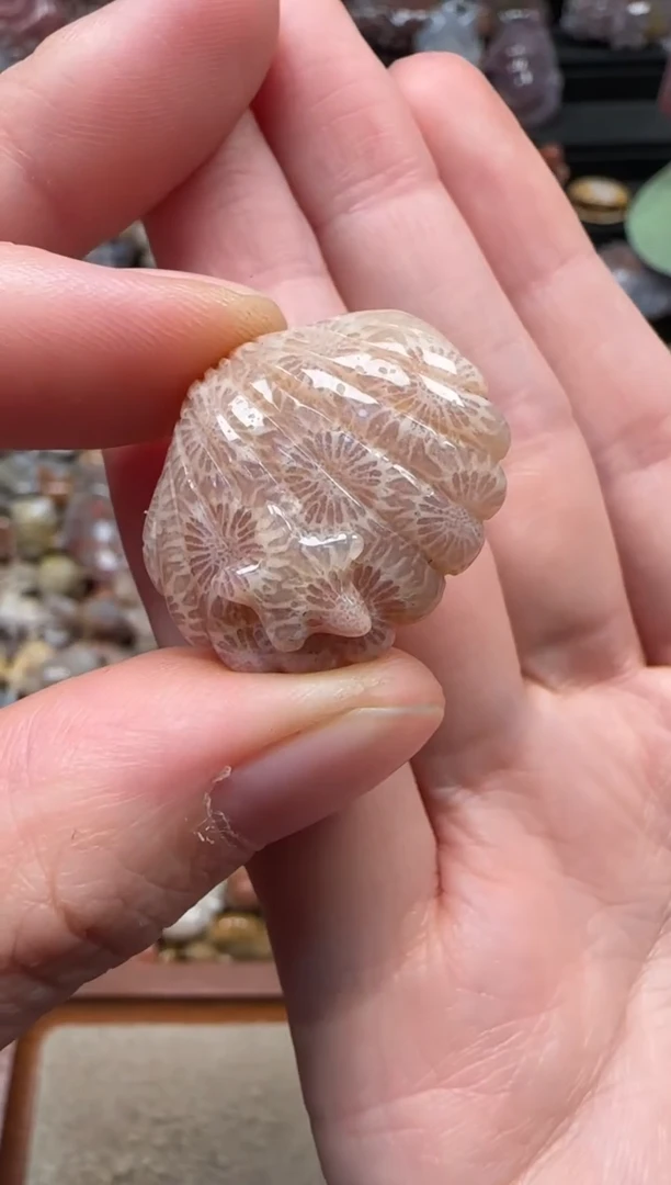 颈饰未镶嵌硅化珊瑚（珊瑚玉）198