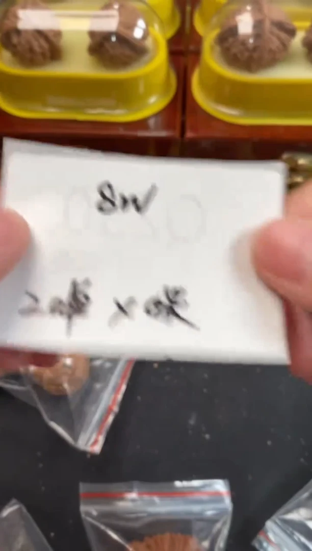 把件文玩核桃8万赞0米浮力随机发