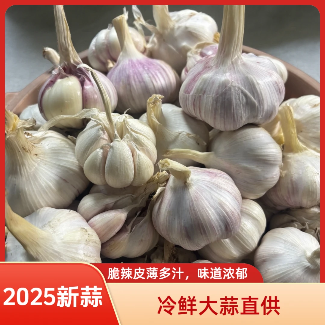 蒜坛子山东金乡大蒜新鲜蒜 冷鲜蒜