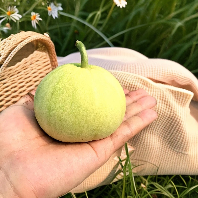 方迈果业山东小蜜蜂星甜瓜皮薄肉厚香甜多汁脆爽可口时令水果