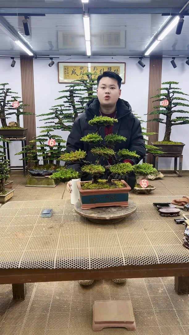 【闪购商品】00000000