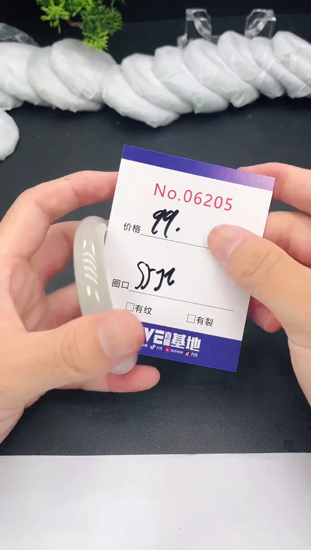 未镶嵌手镯翡翠6205