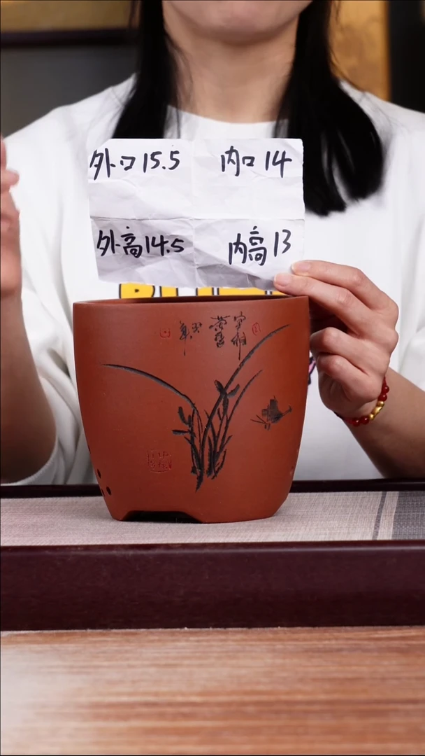 紫砂花盆清水泥君子兰2号一只带托