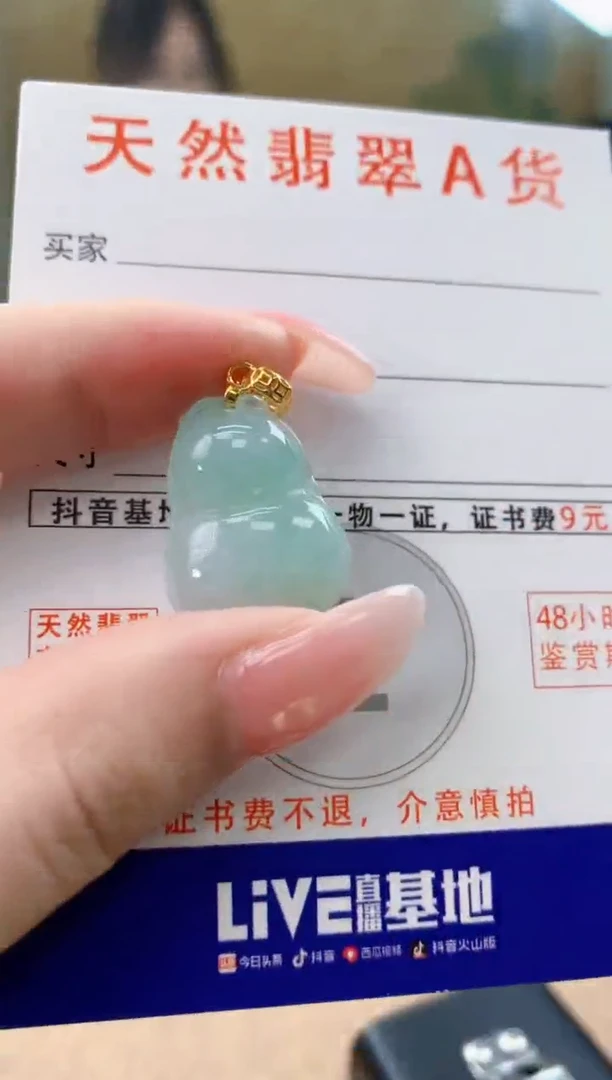 颈饰未镶嵌翡翠天然A货翡翠挂件