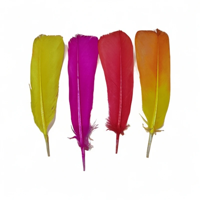 彩色白鸽毛 南派花毽毛老鸽尾毛