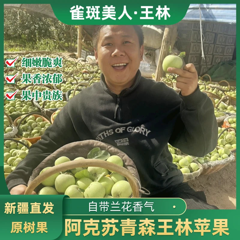 【王林苹果 EMS】新疆阿克苏青森王林苹果应季新鲜水果脆甜