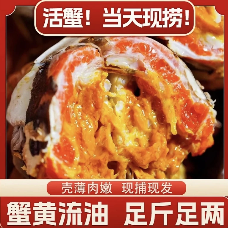 【公母对半 活蟹】公7两母6两 江苏活蟹现发全母死蟹包赔宠粉
