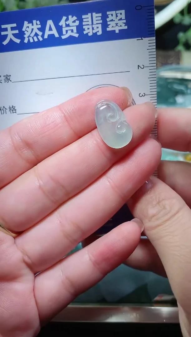 【闪购商品】翡翠颈饰未镶嵌天然A货翡翠一件