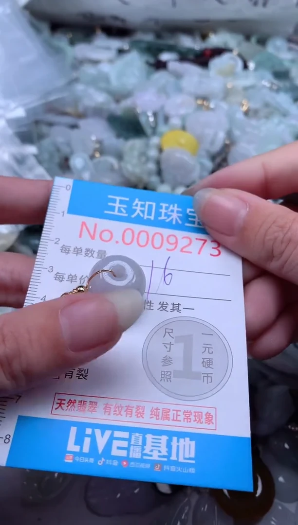 翡翠未镶嵌吊坠(不含链)9273