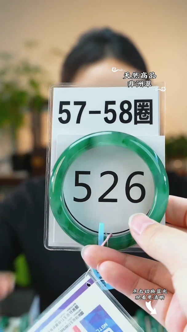 未镶嵌手镯石英质玉（非洲翠）5758