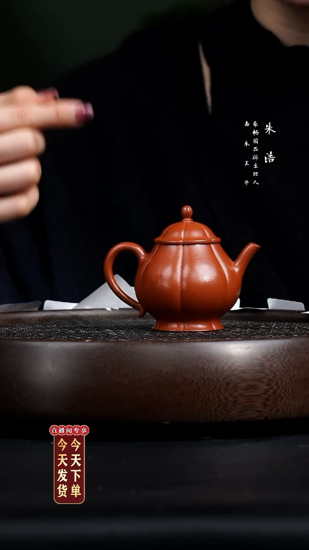 【闪购商品】紫砂茶壶0213早直播季畅园上善若水