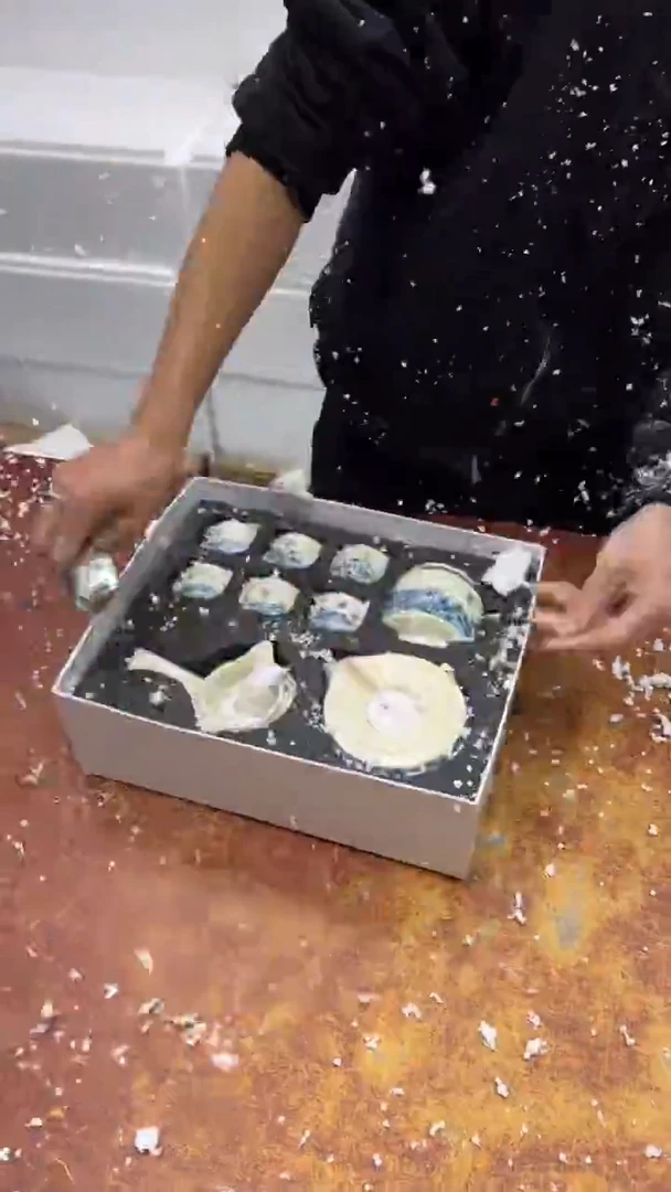 瓷片其他其他其他其他