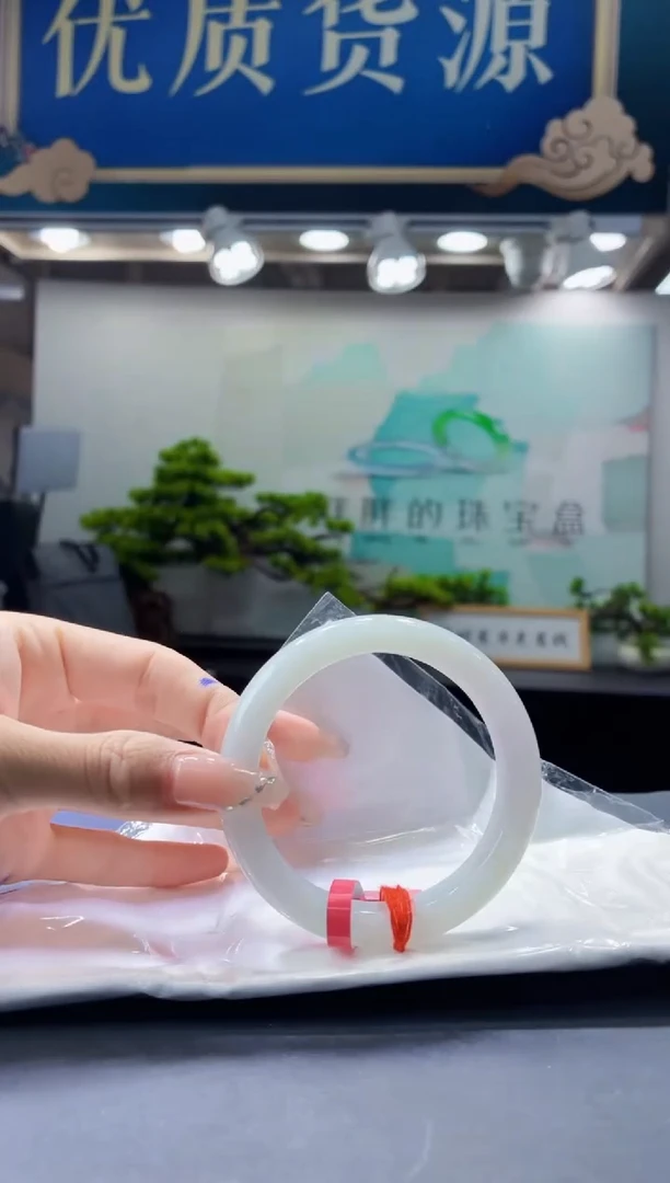 未镶嵌手镯翡翠4