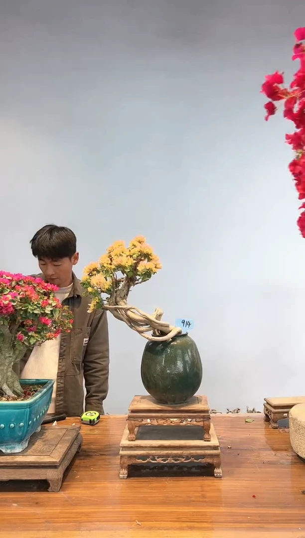 【闪购商品】AA914