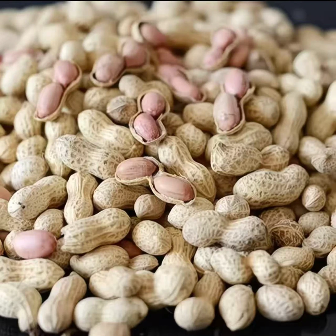 农家原味带壳花生新鲜嘎嘣脆两斤装