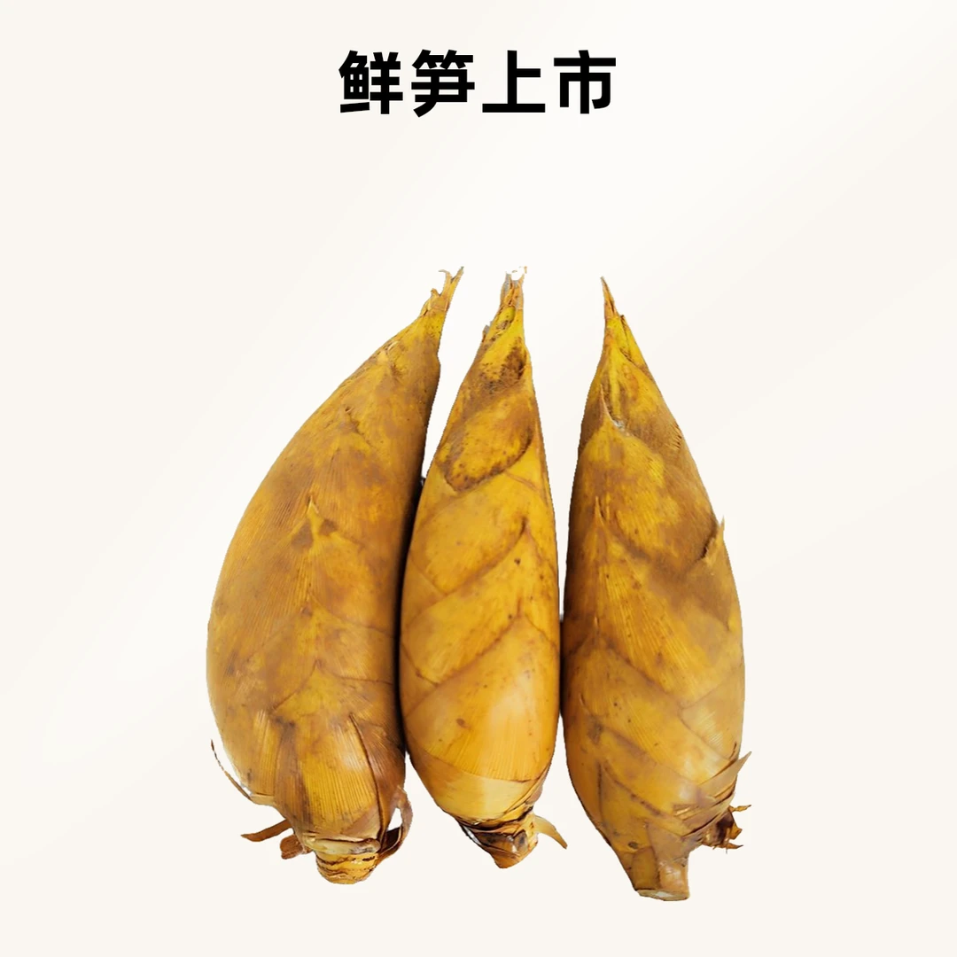 临安黄泥冬笋（带根锁鲜）
