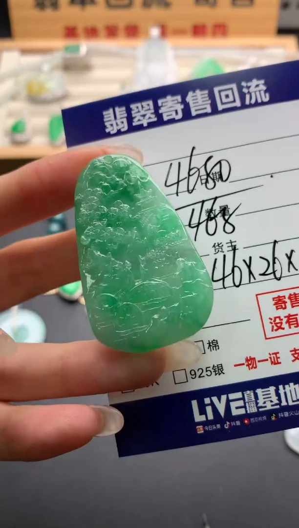 翡翠未镶嵌颈饰10137402