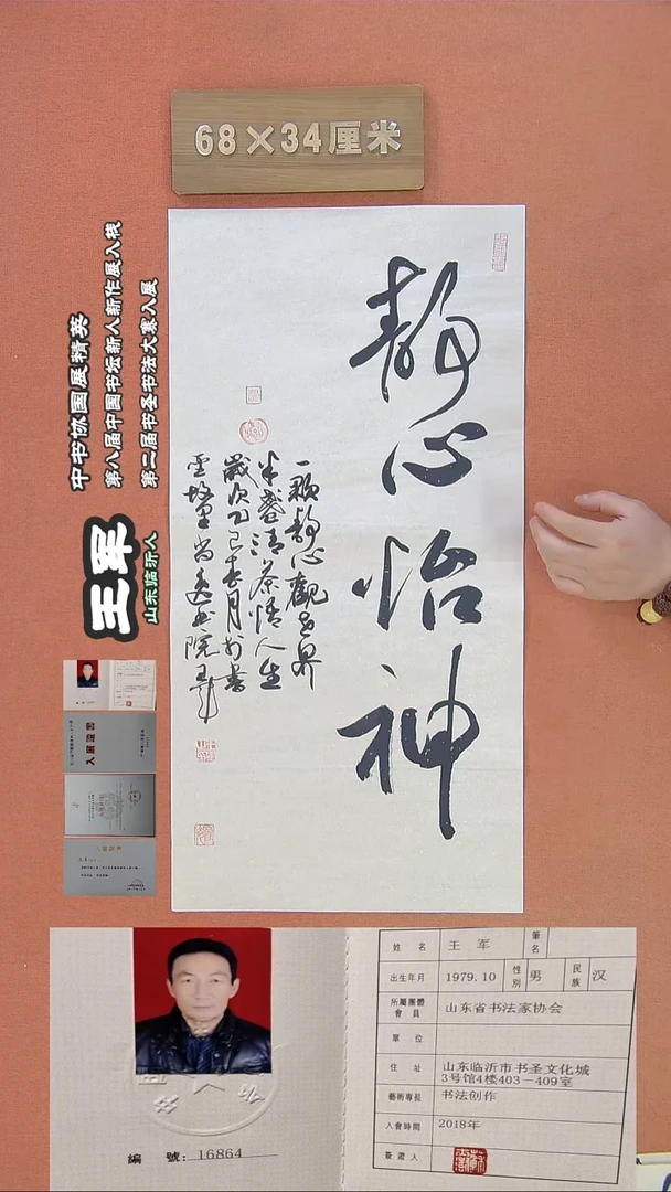 【闪购商品】书法25王军书法作品