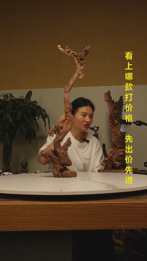 木L*?金丝红木044