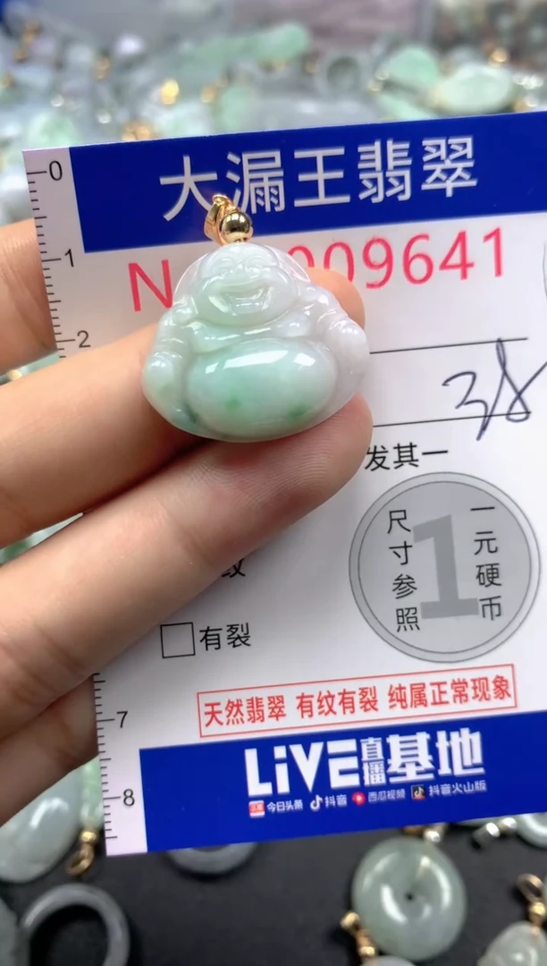 翡翠未镶嵌吊坠(不含链)9641