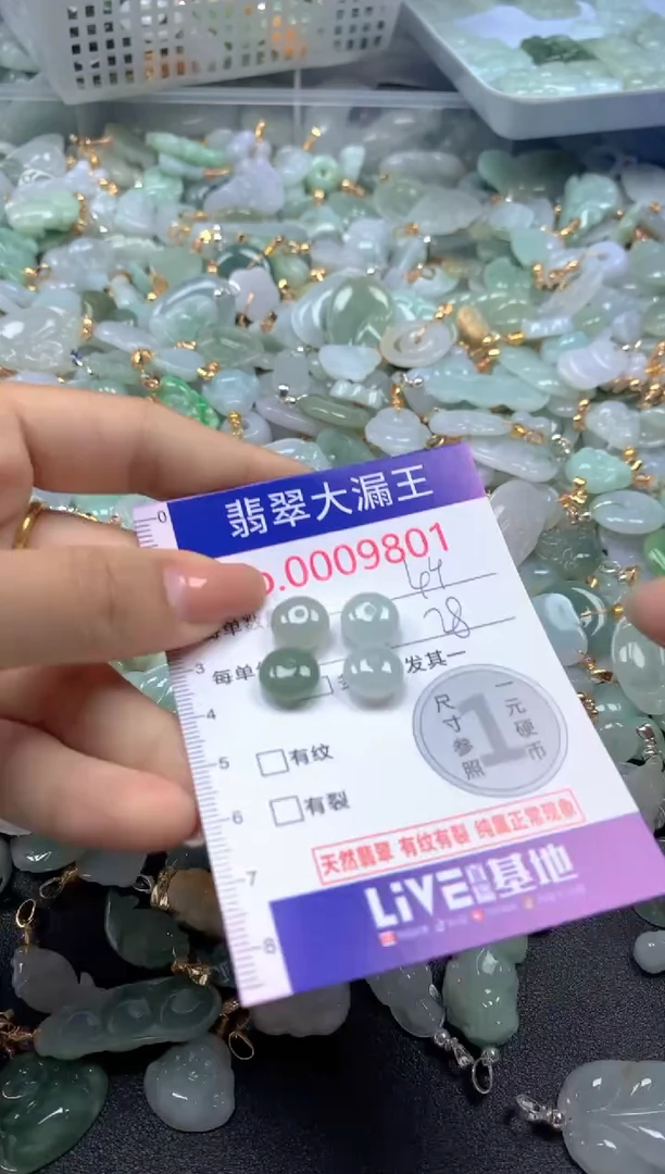颈饰未镶嵌翡翠9801