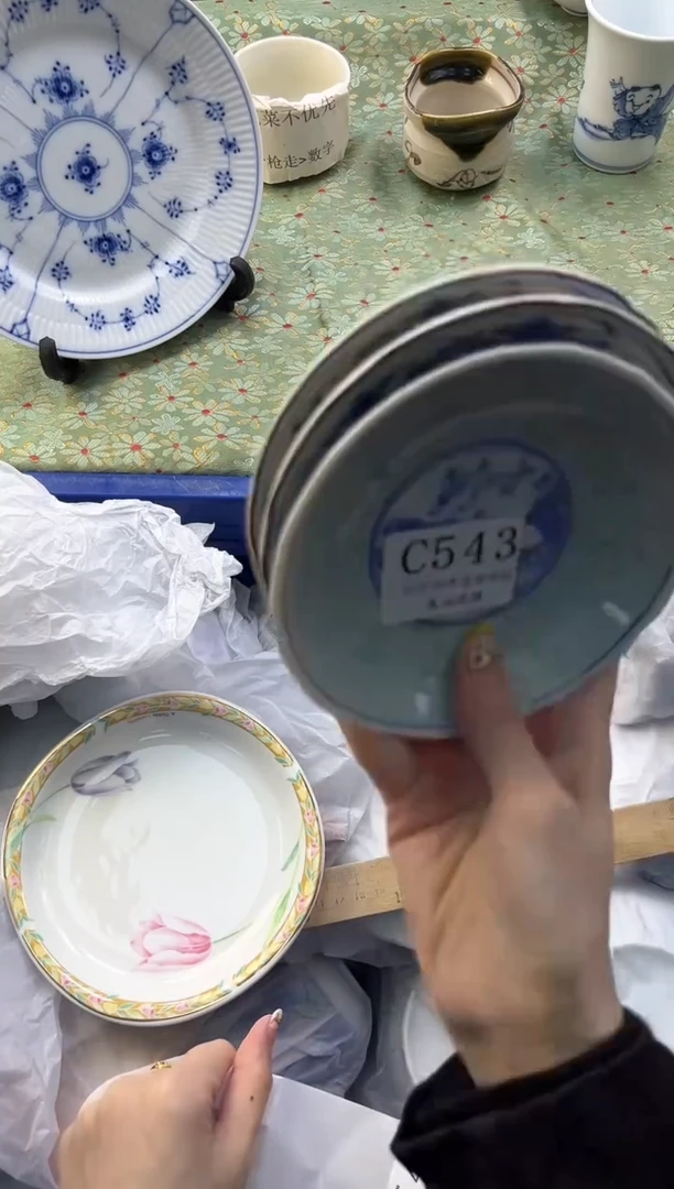 【闪购商品】瓷片          C543