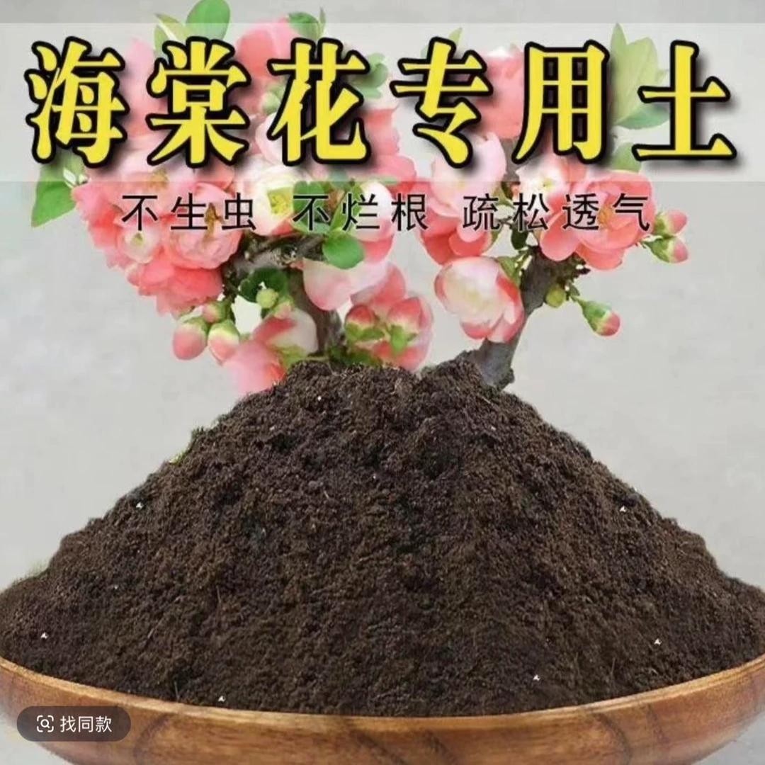 5斤装海棠专用土南北方种植透气好用