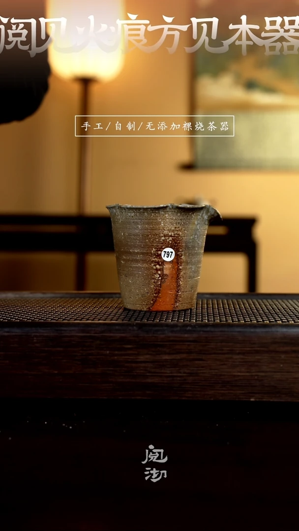 【闪购商品】797公道