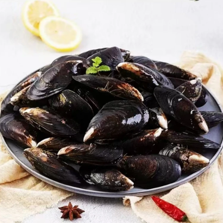 山东日照贻贝海虹鲜活冷链包邮Y