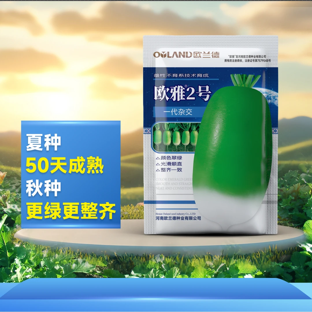 OULAND/欧兰德【欧雅2号】高产种子萝卜种子夏秋种植蔬菜种子