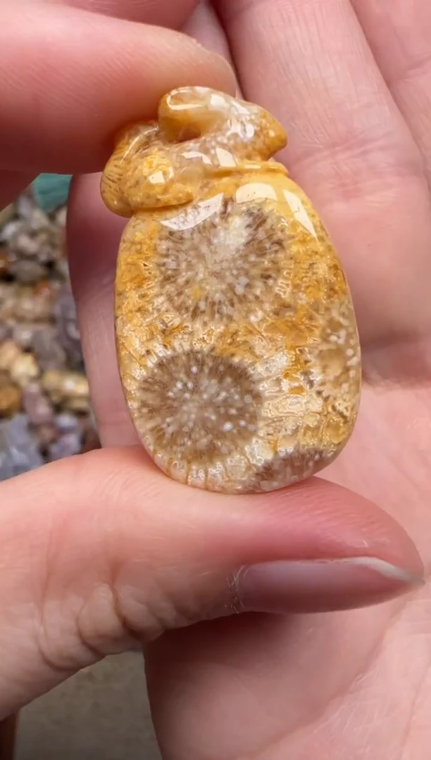 硅化珊瑚（珊瑚玉）未镶嵌颈饰189