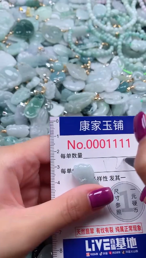 颈饰未镶嵌翡翠1111