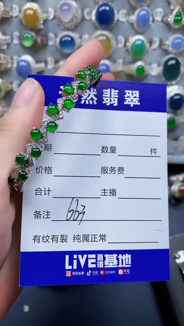 翡翠手镯银S925镶嵌663