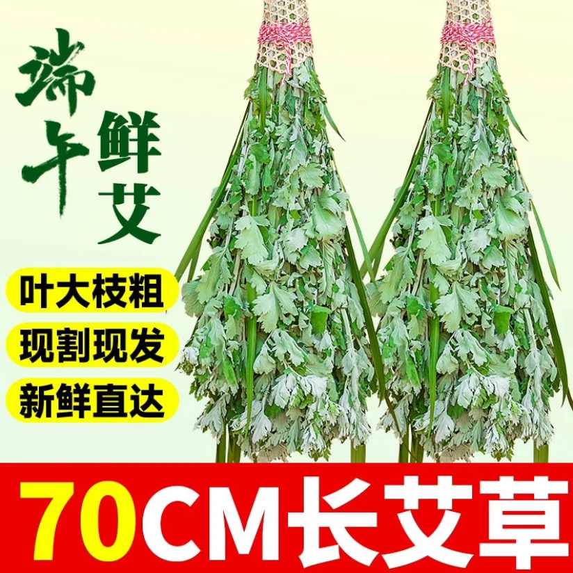 新鲜艾草叶整颗端午节艾草香囊泡脚洗澡驱蚊艾草艾叶艾蒿挂门窗