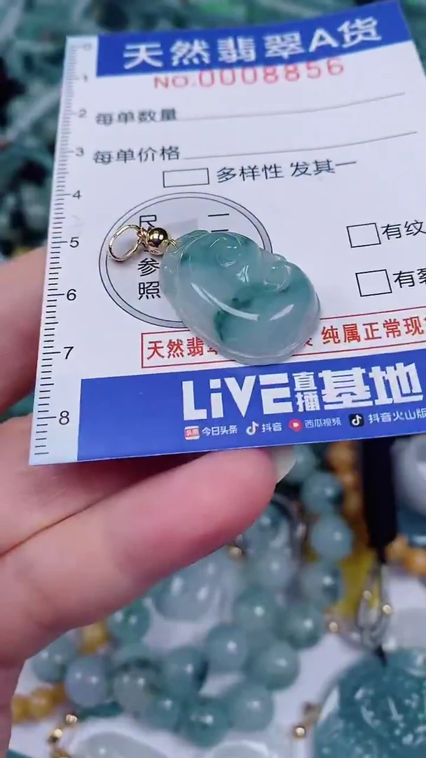 翡翠未镶嵌颈饰00008856