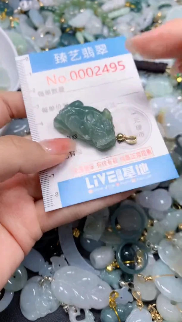 颈饰未镶嵌翡翠2495