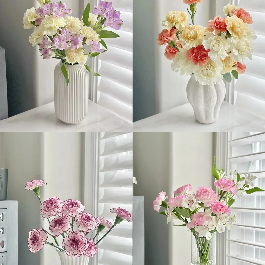 【康乃馨】10枝精选品质鲜花 明天送达 10枝