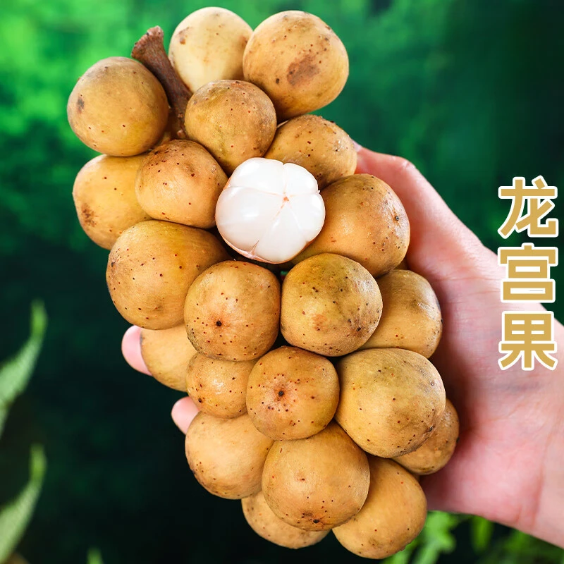 【顺丰包邮】龙宫果酸甜新鲜龙眼当季水果椰色龙贡爱情果应季包邮