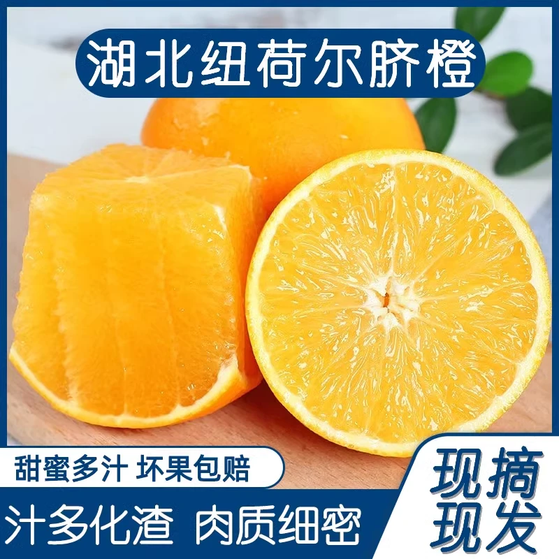 【周生橙】高山纽荷尔脐橙5斤净重农家果园直供新鲜采摘香甜手剥橙