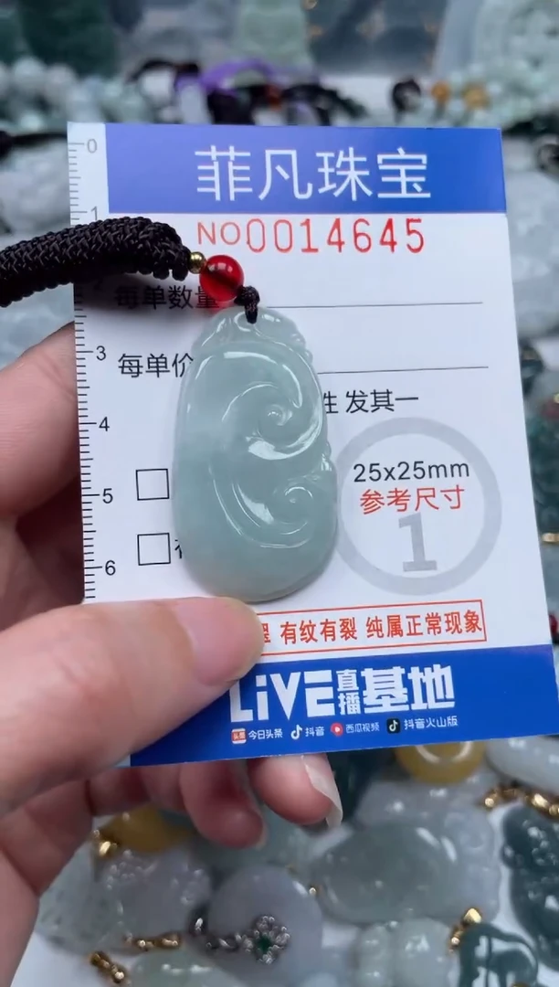 颈饰未镶嵌翡翠14645