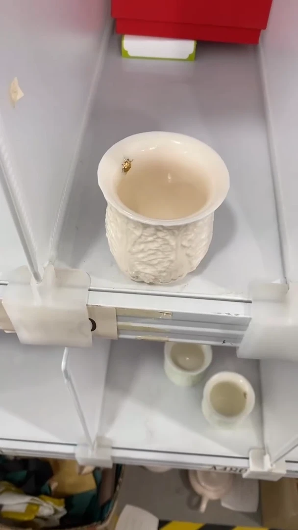 瓷片陶瓷茶具茶器